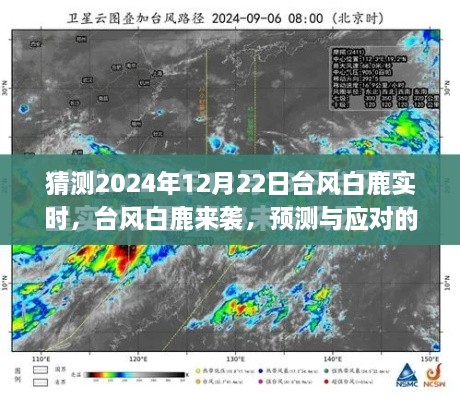 臺(tái)風(fēng)白鹿來襲，預(yù)測與應(yīng)對(duì)探討，實(shí)時(shí)關(guān)注臺(tái)風(fēng)動(dòng)態(tài)