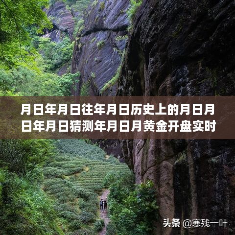 黃金行情揭秘，歷史、預測與實時動態(tài)的交織