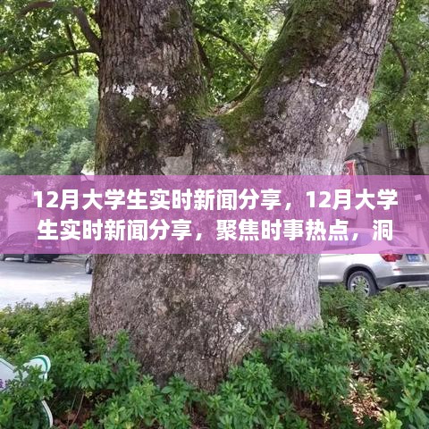聚焦時事熱點，大學生實時新聞分享，洞察時代變遷的十二月觀察