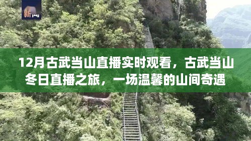 古武當(dāng)山冬日直播之旅，探尋山間奇遇的溫馨之旅