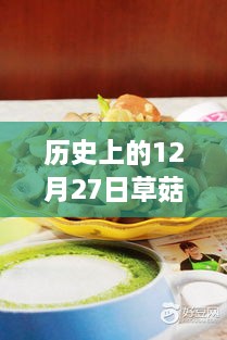 探秘小巷深處的草菇寶藏，歷史上的草菇實時價格揭秘（十二月二十七日）