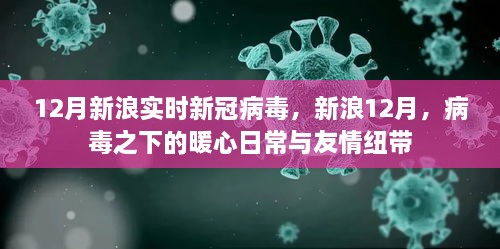 新浪12月，病毒下的暖心日常與友情紐帶，實時新冠病毒報道