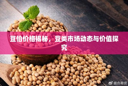 豆伯價(jià)格揭秘，豆類(lèi)市場(chǎng)動(dòng)態(tài)與價(jià)值探究