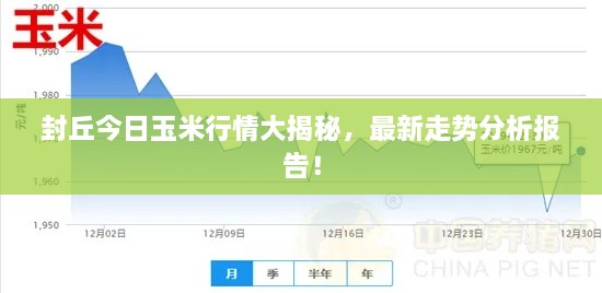 封丘今日玉米行情大揭秘，最新走勢分析報告！