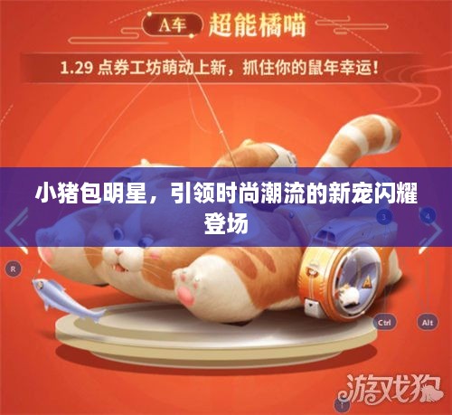 小豬包明星，引領(lǐng)時尚潮流的新寵閃耀登場