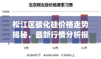 松江區(qū)碳化硅價格走勢揭秘，最新行情分析報告！