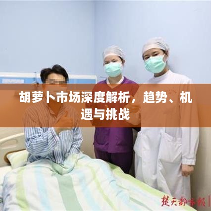 胡蘿卜市場(chǎng)深度解析，趨勢(shì)、機(jī)遇與挑戰(zhàn)