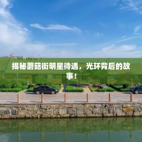 揭秘蘑菇街明星待遇，光環(huán)背后的故事！