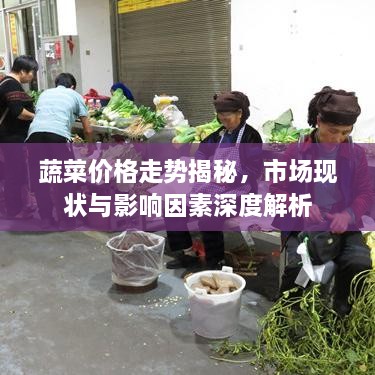 蔬菜價(jià)格走勢揭秘，市場現(xiàn)狀與影響因素深度解析