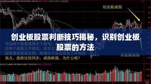 創(chuàng)業(yè)板股票判斷技巧揭秘，識別創(chuàng)業(yè)板股票的方法