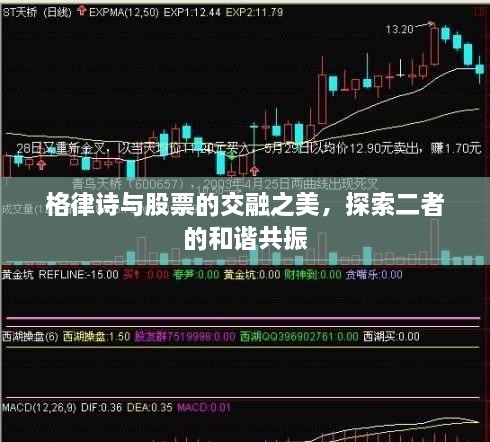 格律詩與股票的交融之美，探索二者的和諧共振