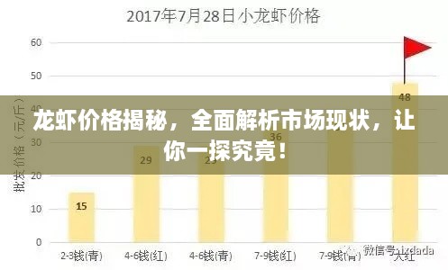 龍蝦價格揭秘，全面解析市場現(xiàn)狀，讓你一探究竟！