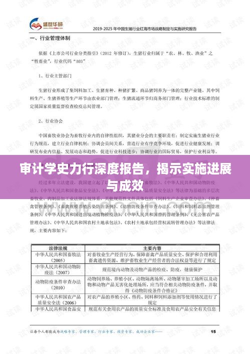 審計學(xué)史力行深度報告，揭示實施進(jìn)展與成效