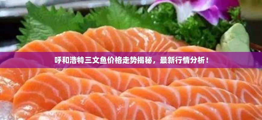 呼和浩特三文魚價格走勢揭秘，最新行情分析！