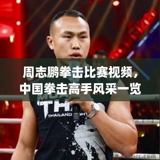 周志鵬拳擊比賽視頻，中國拳擊高手風(fēng)采一覽