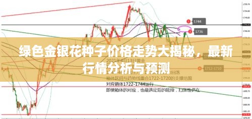 綠色金銀花種子價格走勢大揭秘，最新行情分析與預測