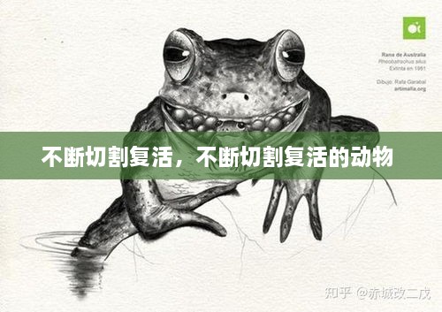 不斷切割復(fù)活，不斷切割復(fù)活的動物 