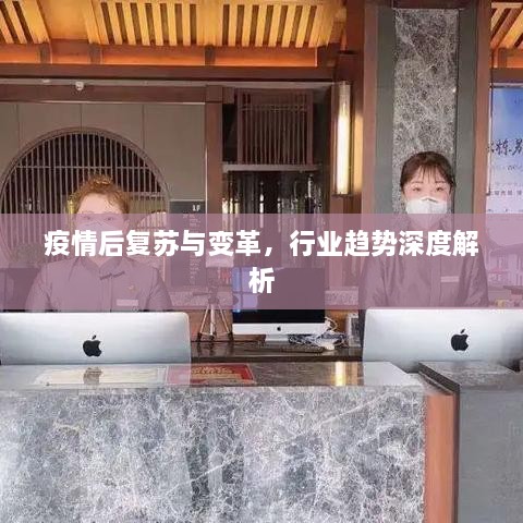 疫情后復蘇與變革，行業(yè)趨勢深度解析