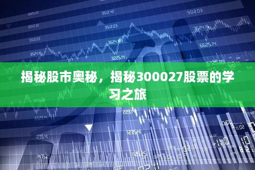 揭秘股市奧秘，揭秘300027股票的學(xué)習(xí)之旅
