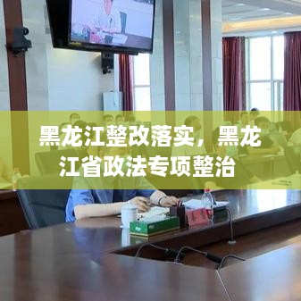 黑龍江整改落實，黑龍江省政法專項整治 