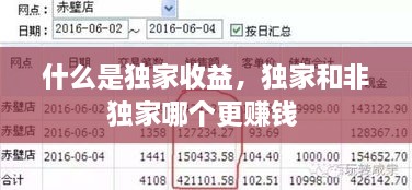 什么是獨(dú)家收益，獨(dú)家和非獨(dú)家哪個(gè)更賺錢 