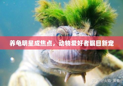 2025年1月 第366頁