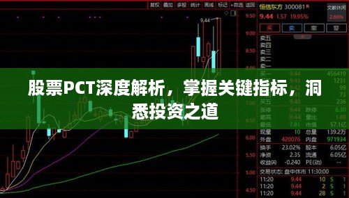 股票P(pán)CT深度解析，掌握關(guān)鍵指標(biāo)，洞悉投資之道