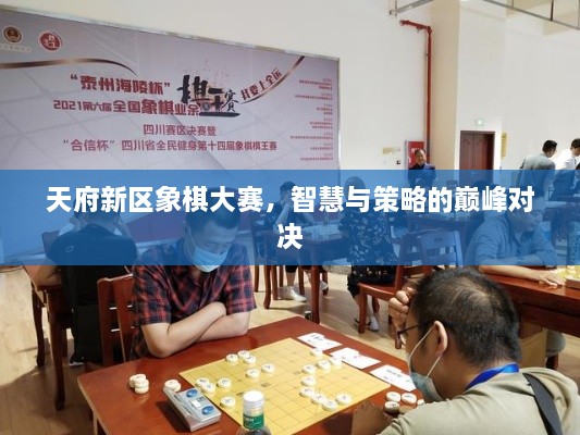 天府新區(qū)象棋大賽，智慧與策略的巔峰對(duì)決