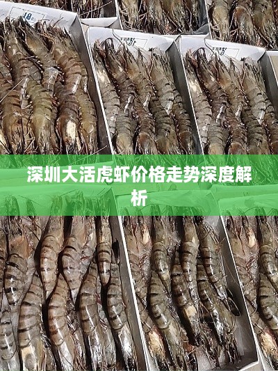 深圳大活虎蝦價(jià)格走勢(shì)深度解析