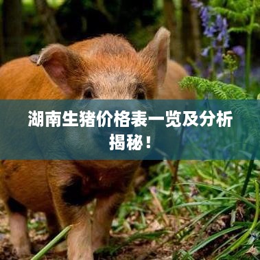 湖南生豬價(jià)格表一覽及分析揭秘！