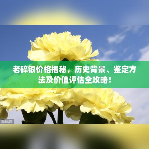 老碎銀價格揭秘，歷史背景、鑒定方法及價值評估全攻略！