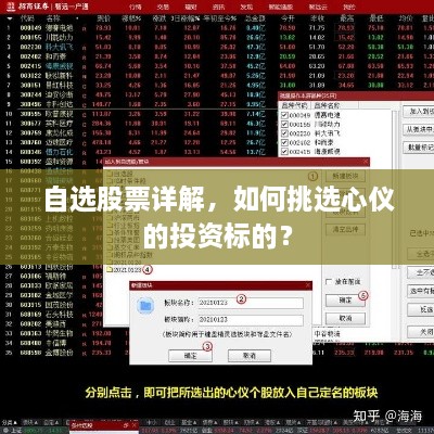自選股票詳解，如何挑選心儀的投資標(biāo)的？