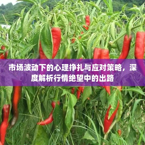 市場波動下的心理掙扎與應對策略，深度解析行情絕望中的出路