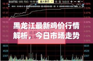 黑龍江最新雞價行情解析，今日市場走勢一網(wǎng)打盡