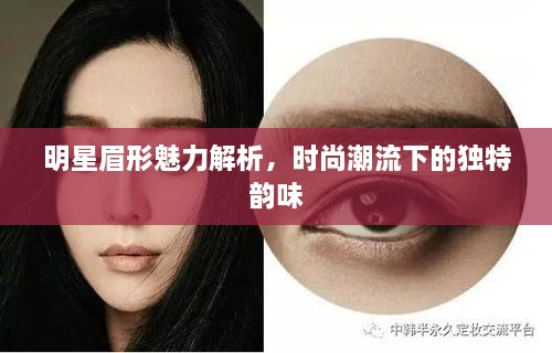 明星眉形魅力解析，時尚潮流下的獨特韻味