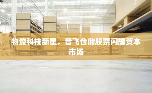 物流科技新星，音飛倉儲股票閃耀資本市場