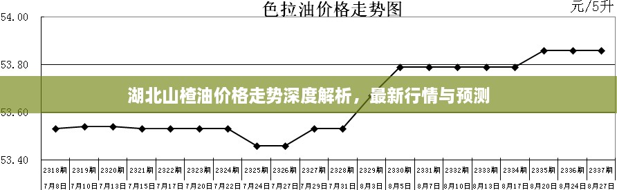湖北山楂油價格走勢深度解析，最新行情與預(yù)測