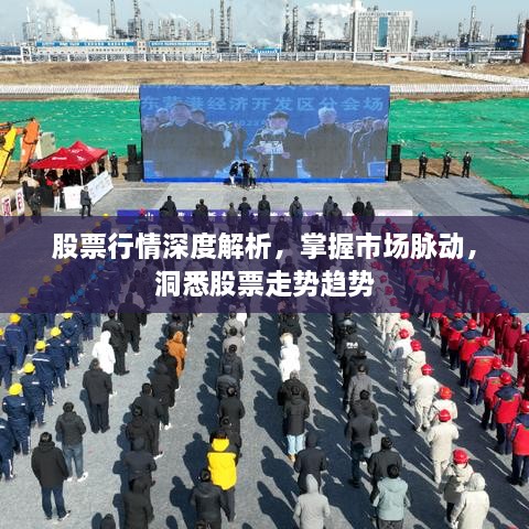 股票行情深度解析，掌握市場脈動，洞悉股票走勢趨勢