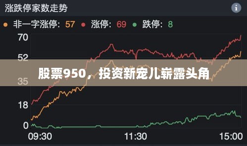 股票950，投資新寵兒嶄露頭角
