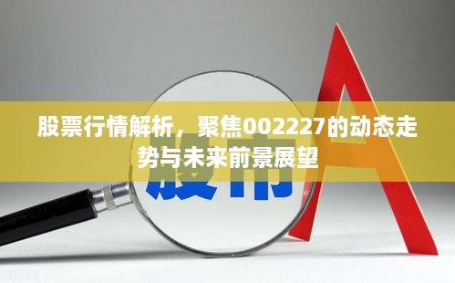 股票行情解析，聚焦002227的動態(tài)走勢與未來前景展望