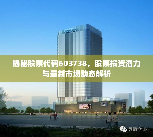 揭秘股票代碼603738，股票投資潛力與最新市場(chǎng)動(dòng)態(tài)解析
