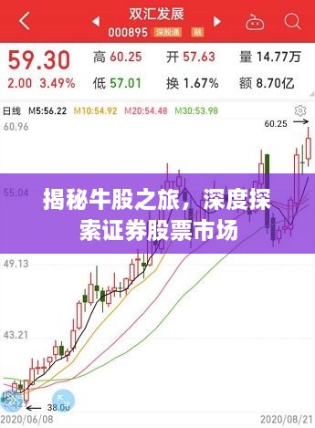 揭秘牛股之旅，深度探索證券股票市場