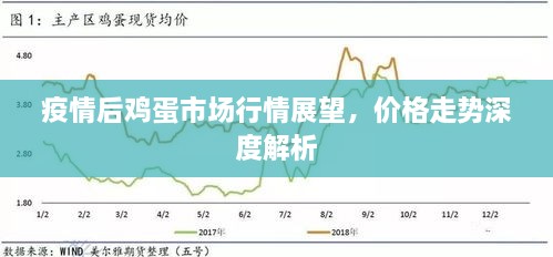 疫情后雞蛋市場行情展望，價格走勢深度解析