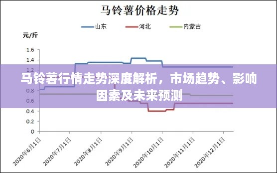 馬鈴薯行情走勢深度解析，市場趨勢、影響因素及未來預(yù)測