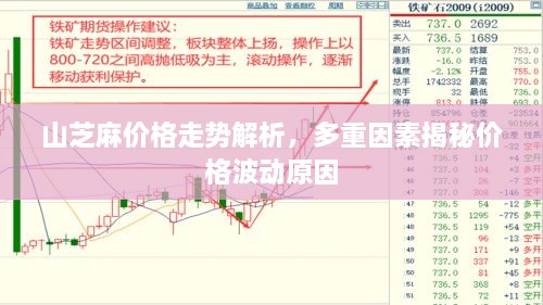 山芝麻價(jià)格走勢解析，多重因素揭秘價(jià)格波動原因