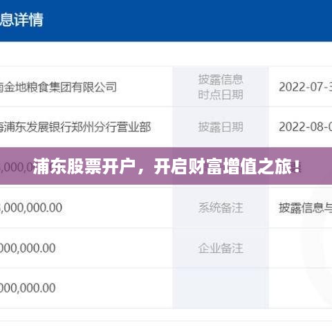 浦東股票開(kāi)戶，開(kāi)啟財(cái)富增值之旅！