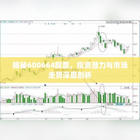 揭秘600664股票，投資潛力與市場(chǎng)走勢(shì)深度剖析