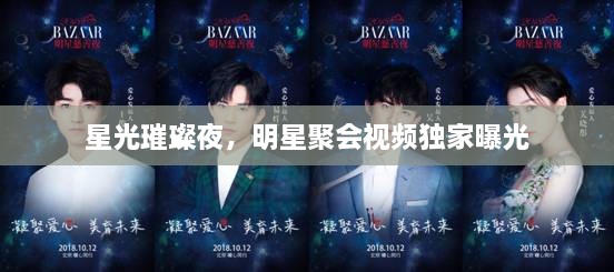 星光璀璨夜，明星聚會(huì)視頻獨(dú)家曝光