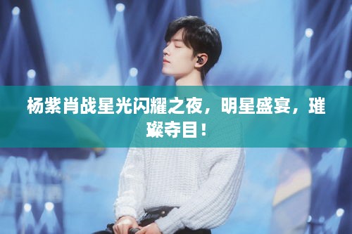 楊紫肖戰(zhàn)星光閃耀之夜，明星盛宴，璀璨奪目！