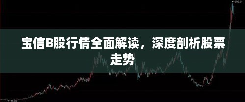 寶信B股行情全面解讀，深度剖析股票走勢(shì)